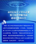 武汉市中小企业数字化转型服务商名单出炉